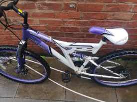 dunlop ds 26 mountain bike